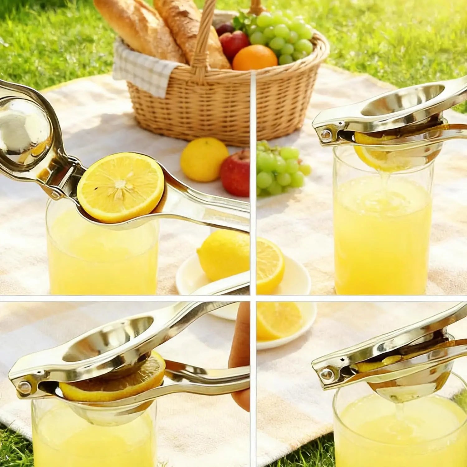 3-4-5 Citric Extractor: High-Yield Pressure Juicer